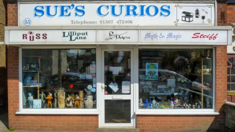 Sue's Curios