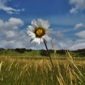Sandilands Nature Reserve Tour