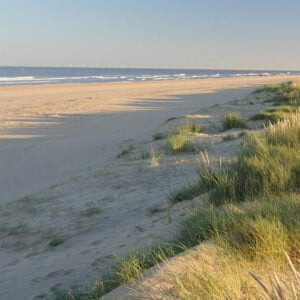 Theddlethorpe Dunes